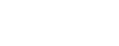 BRI Life